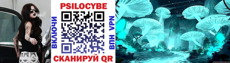 Галлюциногенные грибы Psilocybe  Моздок 
