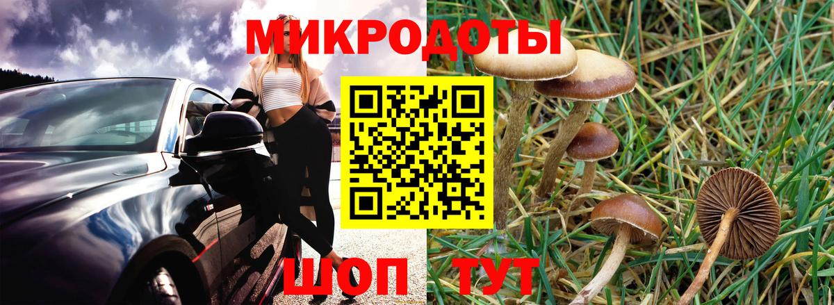 Псилоцибиновые грибы ЛСД  купить наркоту  Моздок  Вход с VPN 
